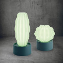 Cactus Long con luce Serralunga ambientazione