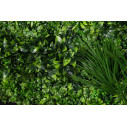 Ecuador Giardino Verticale VGnewtrend dettaglio