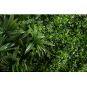 Ecuador Giardino Verticale VGnewtrend dettaglio