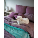 Letto Noah H 10 Secret Box Noctis ambientazione