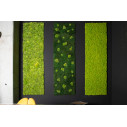 Flatmoss con Polemoss Giardino Verticale VGnewtrend ambientazione