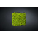 Lichene Giardino Verticale VGnewtrend ambientazione