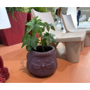 Together Pot Vaso Slide ambientazione