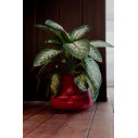 Together Pot Vaso Slide ambientazione