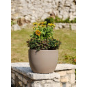 Vaso Ares 30 Tera ambientazione