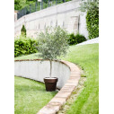 Vaso Standard One 100 Tera ambientazione